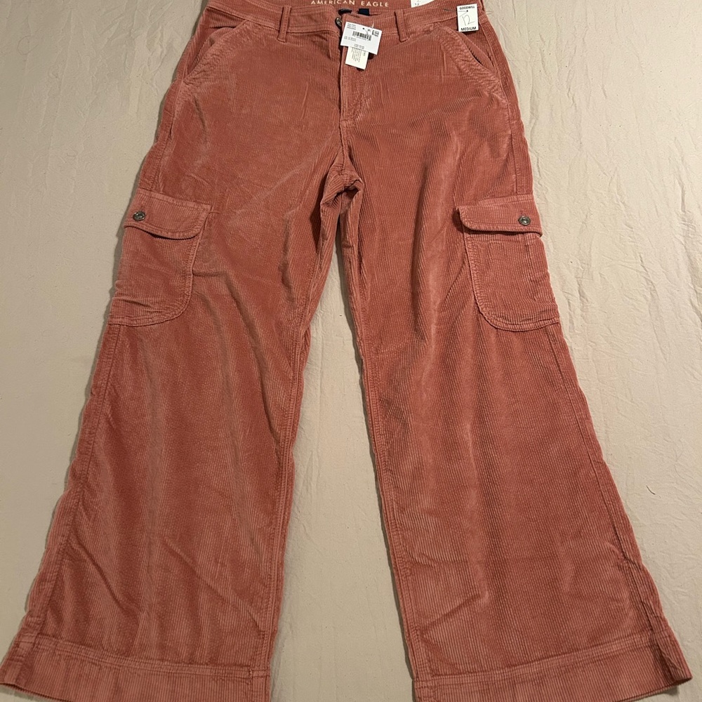 American Eagle Outfitters Wide Leg Pants in Rust